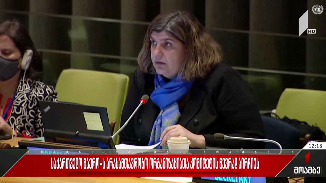 საქართველო გაერო-ს არასამთავრობო ორგანიზაციათა კომიტეტის წევრად აირჩიეს