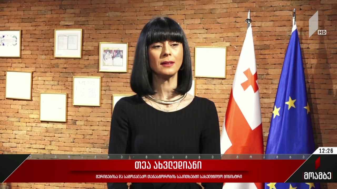 შეხვედრა ეთნიკური უმცირესობების წარმომადგენელ სტუდენტებთან