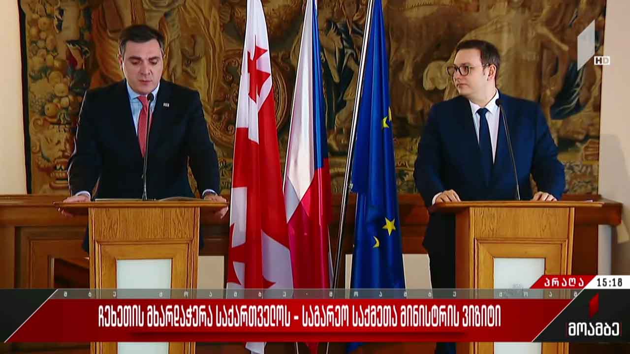 ჩეხეთის მხარდაჭერა საქართველოს - საგარეო საქმეთა მინისტრის ვიზიტი