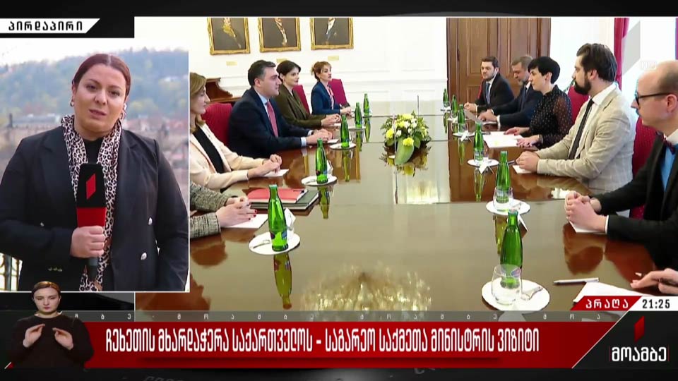 ჩეხეთის მხარდაჭერა საქართველოს - საგარეო საქმეთა მინისტრის ვიზიტი