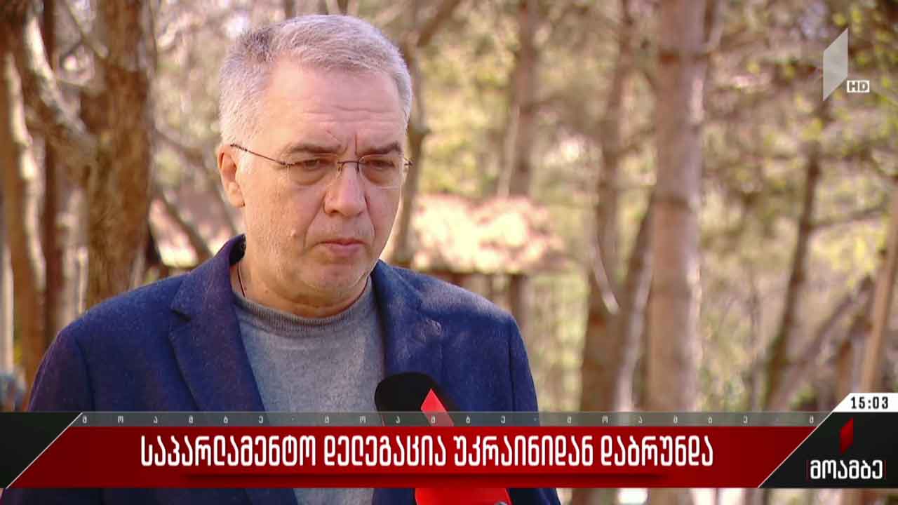 საქართველოს საპარლამენტო დელეგაცია უკრაინიდან თბილისში დაბრუნდა