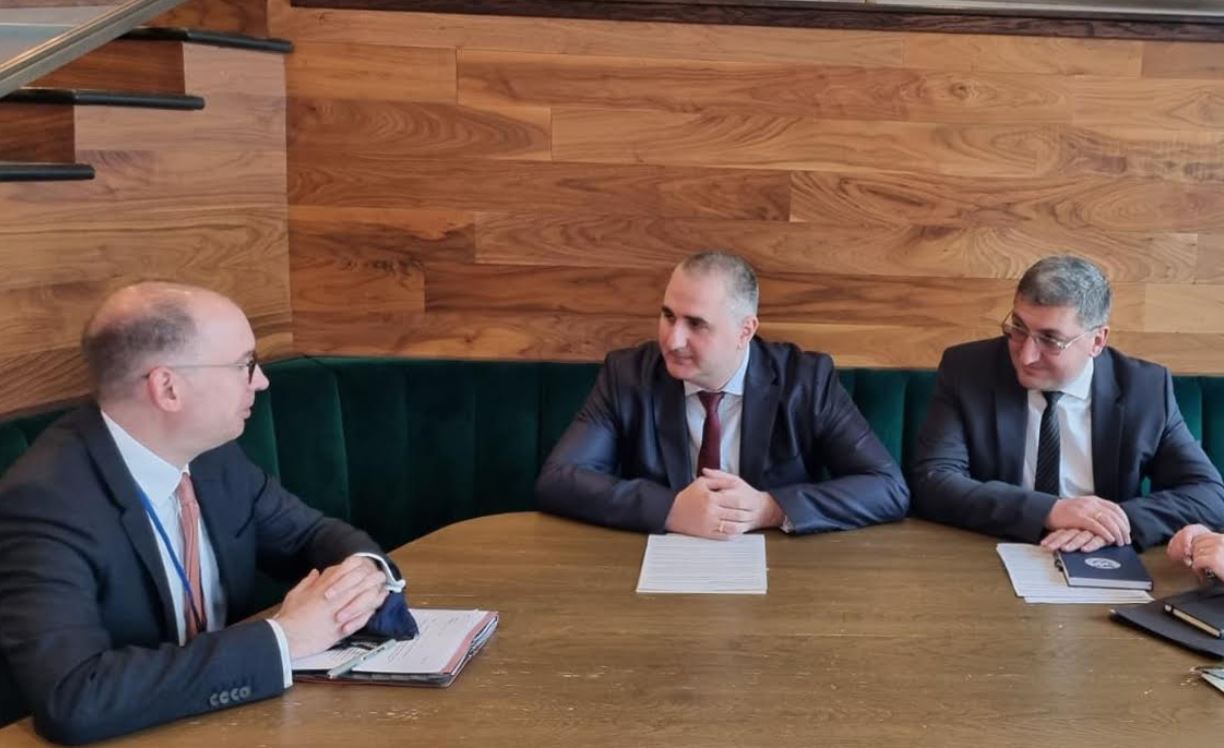 ლაშა ხუციშვილი გერმანიის ეკონომიკური თანამშრომლობისა და განვითარების ფედერალური მინისტრის საპარლამენტო სახელმწიფო მდივანს შეხვდა