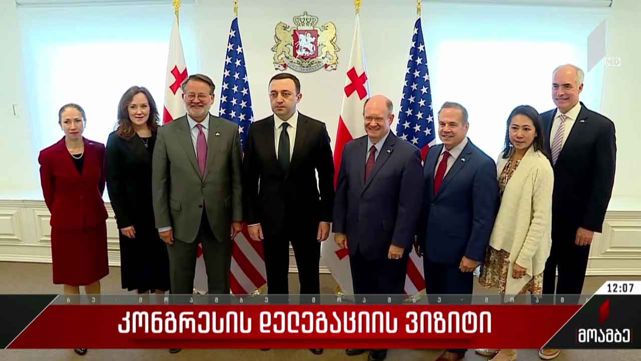 კონგრესის დელეგაციის ვიზიტი საქართველოში