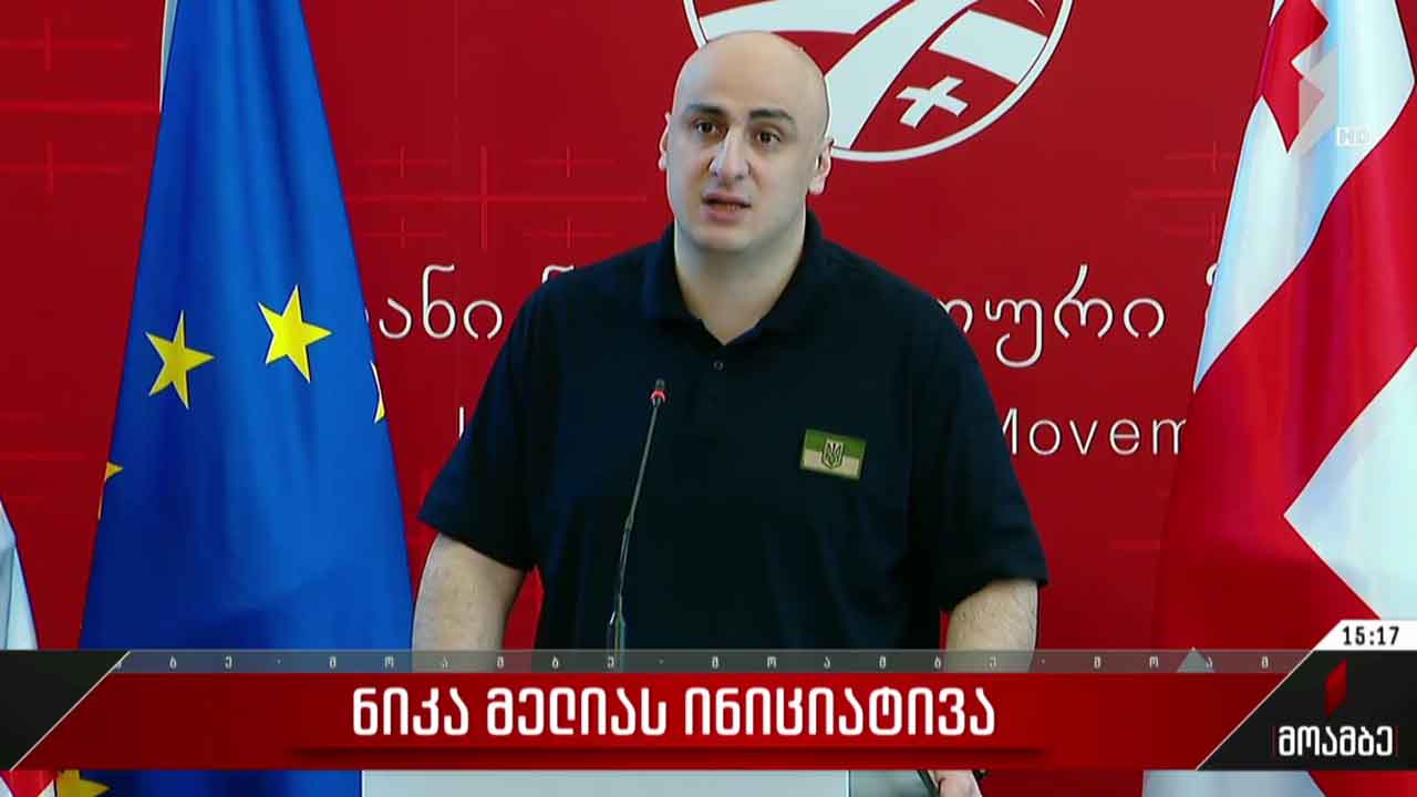ნიკა მელიას ინიციატივა