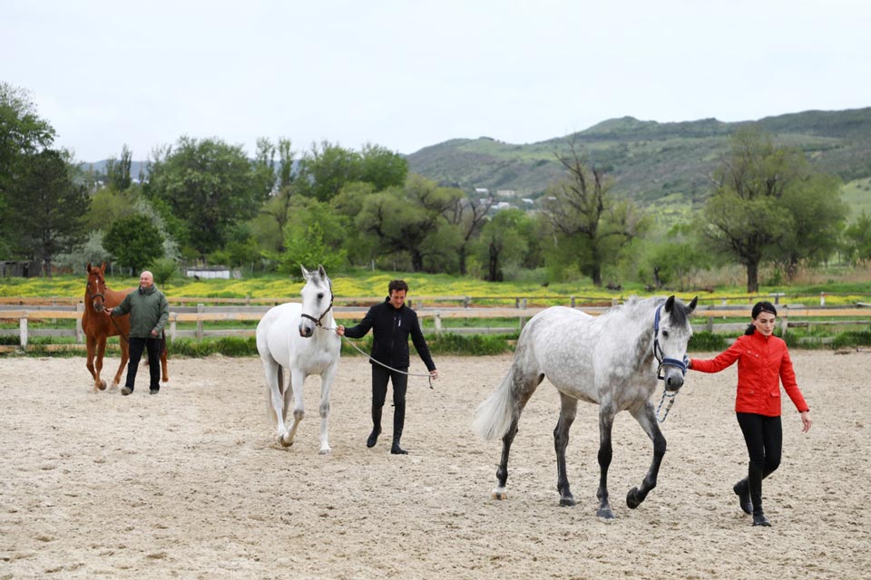 კულტურის, სპორტისა და ახალგაზრდობის სამინისტრო - ბოლო 30 წლის მანძილზე პირველად, სამინისტრომ ცხენოსნობის ფედერაციისთვის ცხენები შეიძინა