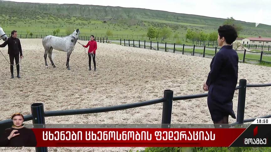 ცხენები ცხენოსნობის ფედერაციისთვის