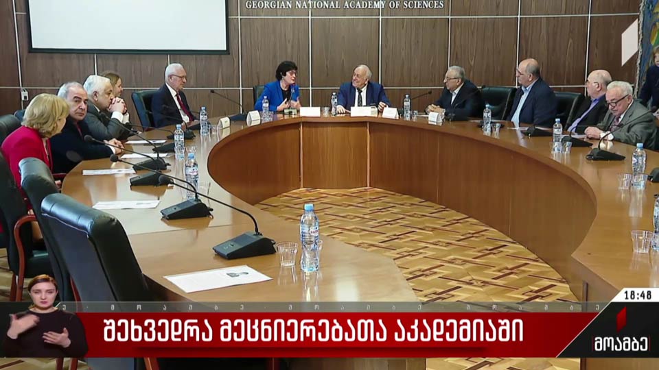 შეხვედრა მეცნიერებათა აკადემიაში
