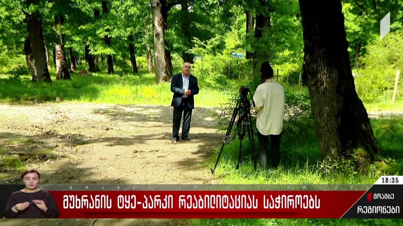 მუხრანის ტყე-პარკი რეაბილიტაციას საჭიროებს