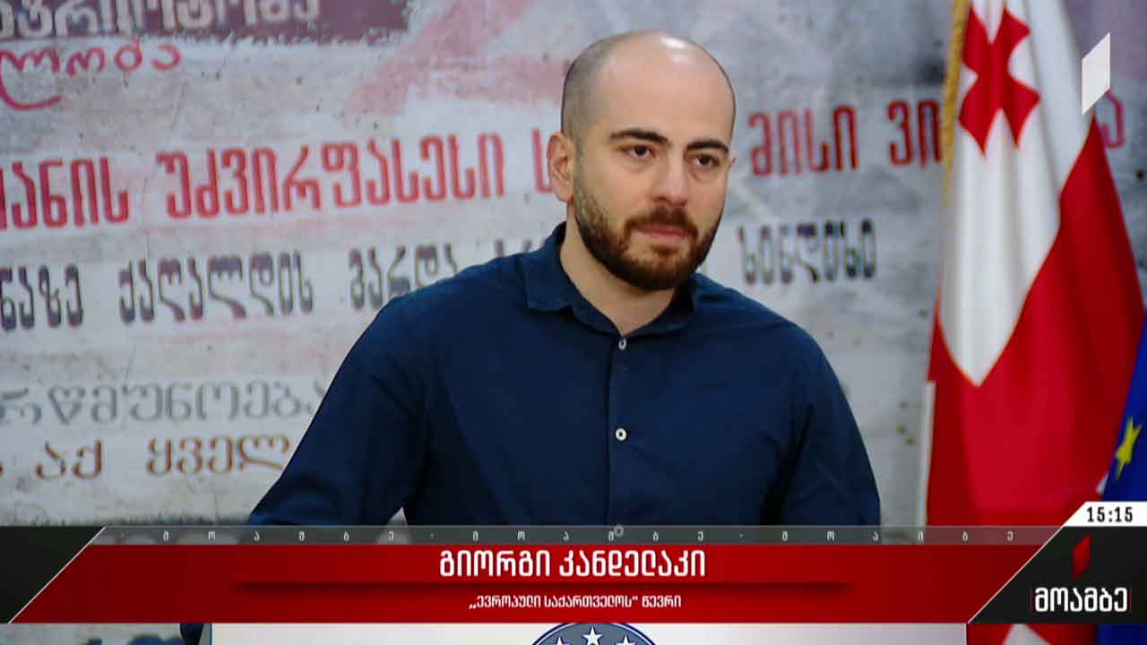 „ევროპული საქართველოს“ ინიციატივა