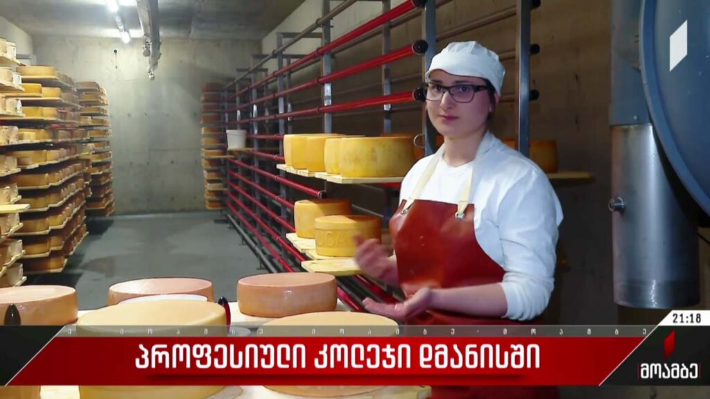 პროფესიული კოლეჯი დმანისში