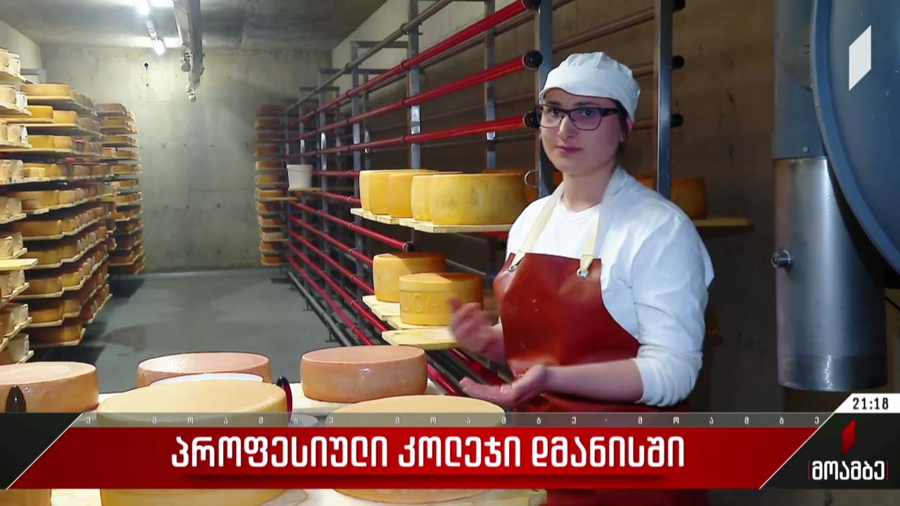 პროფესიული კოლეჯი დმანისში