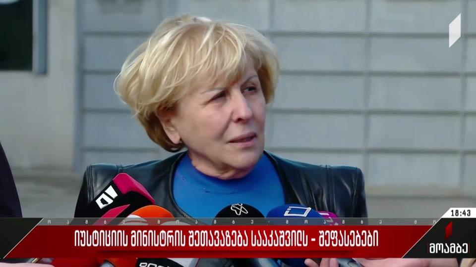 იუსტიციის მინისტრის შეთავაზება სააკაშვილს – შეფასებები