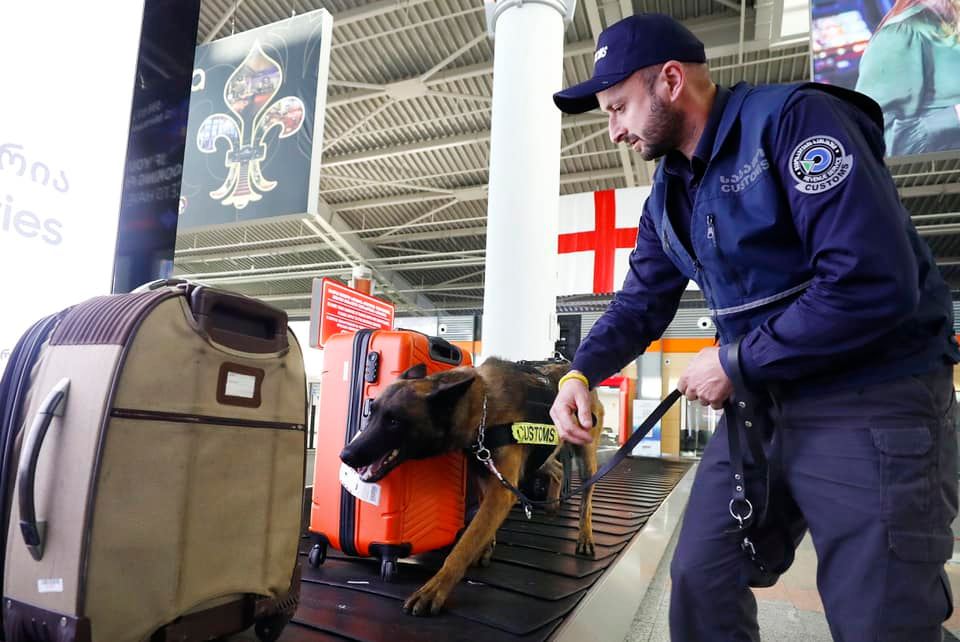 თბილისის აეროპორტში სპეციალურად გაწვრთნილი ძაღლის დახმარებით 500 გრამი მარიხუანა აღმოაჩინეს