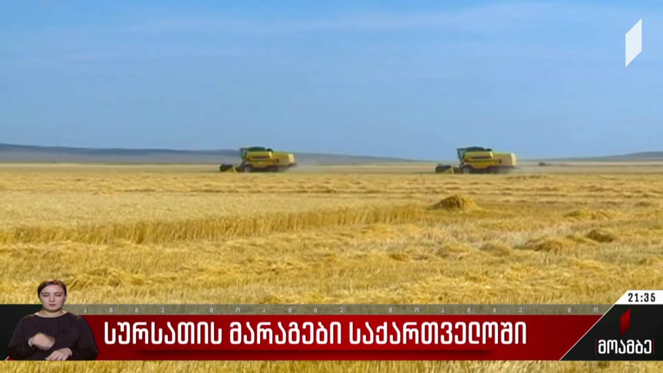 სურსათის მარაგები საქართველოში