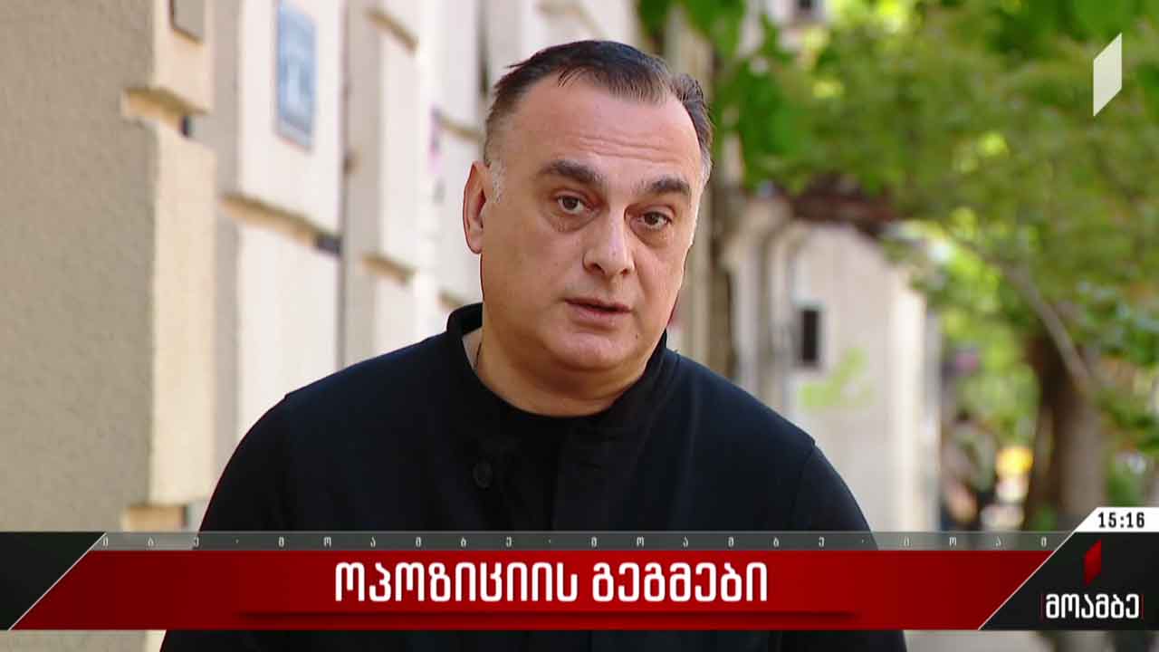 ოპოზიციის გეგმები