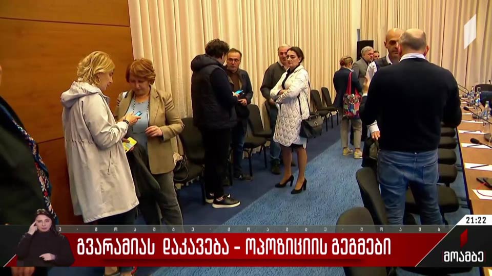 გვარამიას დაკავება - ოპოზიციის გეგმები
