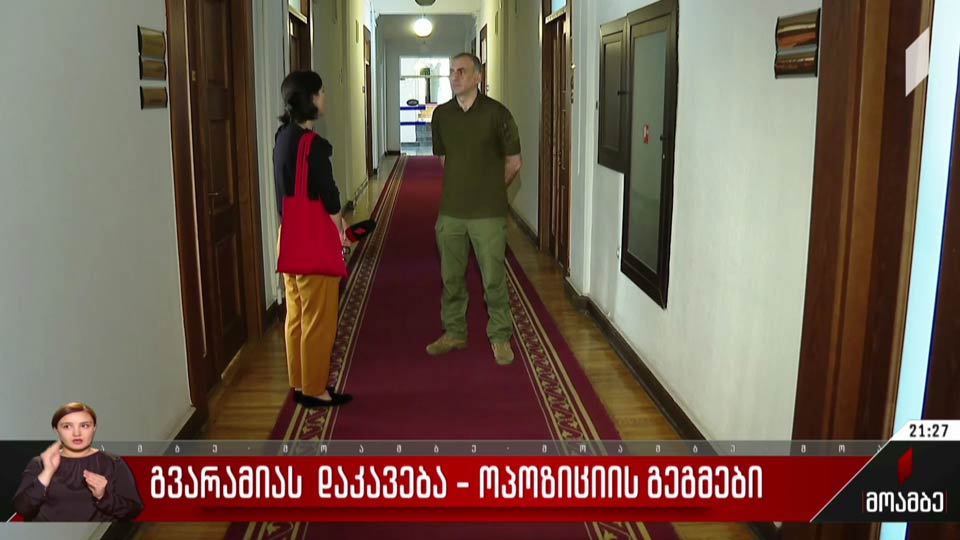 ნიკა გვარამიას დაკავება - ოპოზიციის გეგმები