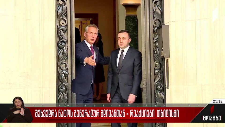 შეხვედრა ნატოს გენერალურ მდივანთან - რეაქციები თბილისში