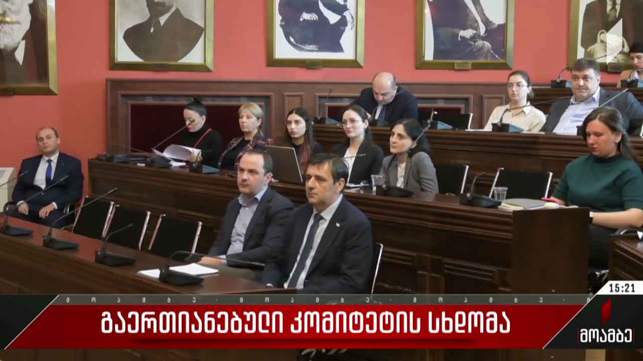 გაერთიანებული კომიტეტის სხდომა