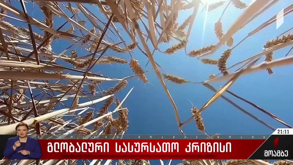 გლობალური სასურსათო კრიზისი