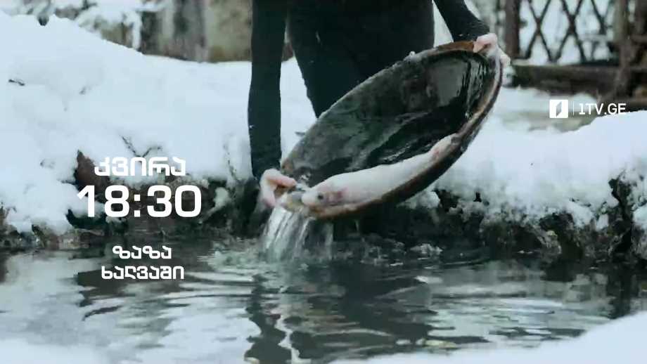 ზაზა ხალვაში – „ჰოპლა, ჩვენ ვცოცხლობთ!“, 29 მაისს, 18:30