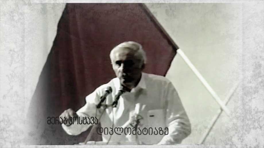 მერაბ კოსტავა დიპლომატიაზე