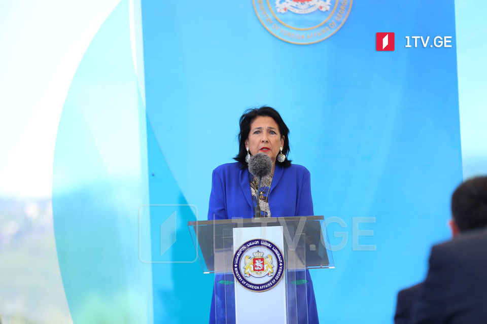 „ქართული დიასპორა საქართველოს ევროპული მომავლისთვის“
