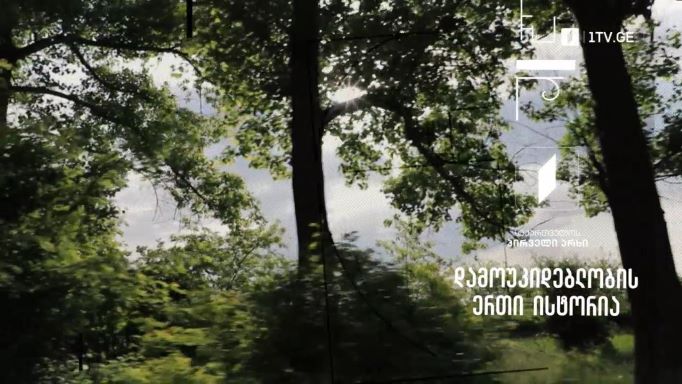„დამოუკიდებლობის ერთი ისტორია“, მიხეილ ბასილაძისა და დიმიტრი სილაქაძის ტელედოკი, 28 მაისს, 20:00