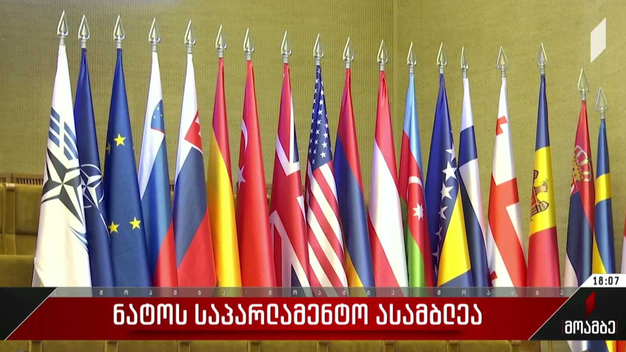 ნატო-ს საპარლამენტო ასამბლეა