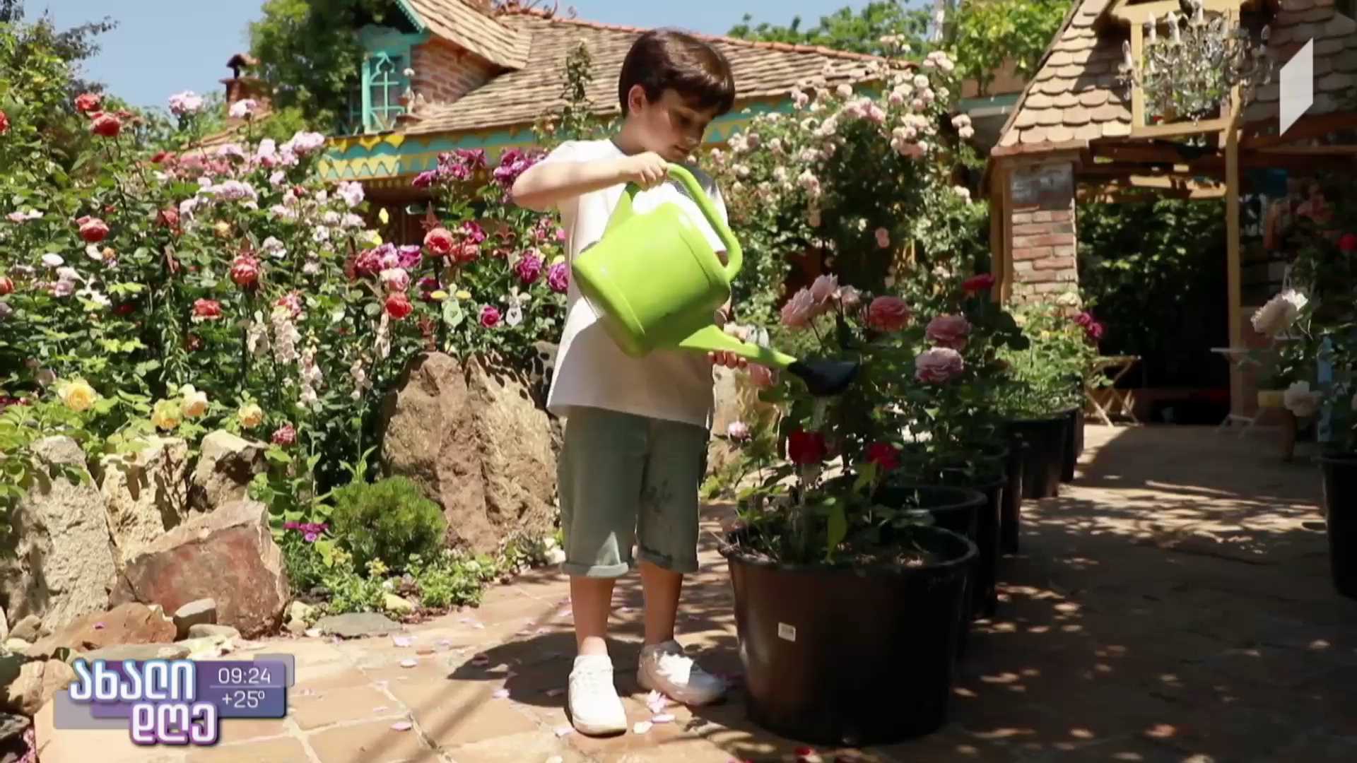 ნიჭიერი ბავშვები