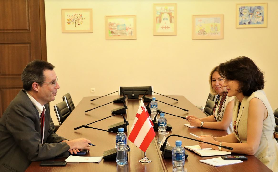 მაკა ბოჭორიშვილი ავსტრიის ელჩს შეხვდა