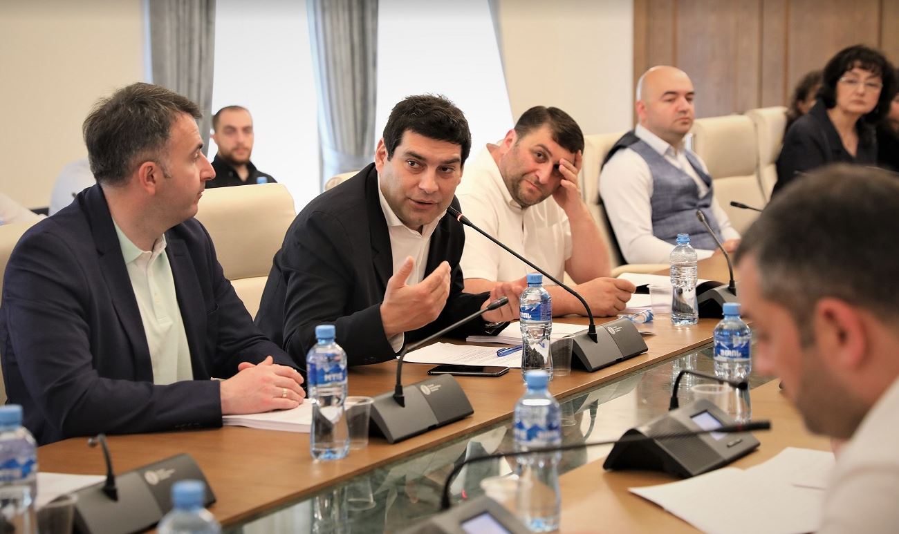 თბილისის ადმინისტრაციულ საზღვრებში მწვანე ნარგავების დაზიანებისთვის კანონი მკაცრდება