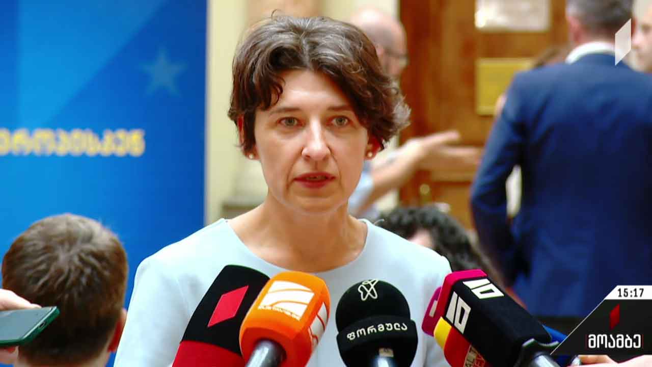 დისკუსია საგარეო უსაფრთხოების თემაზე