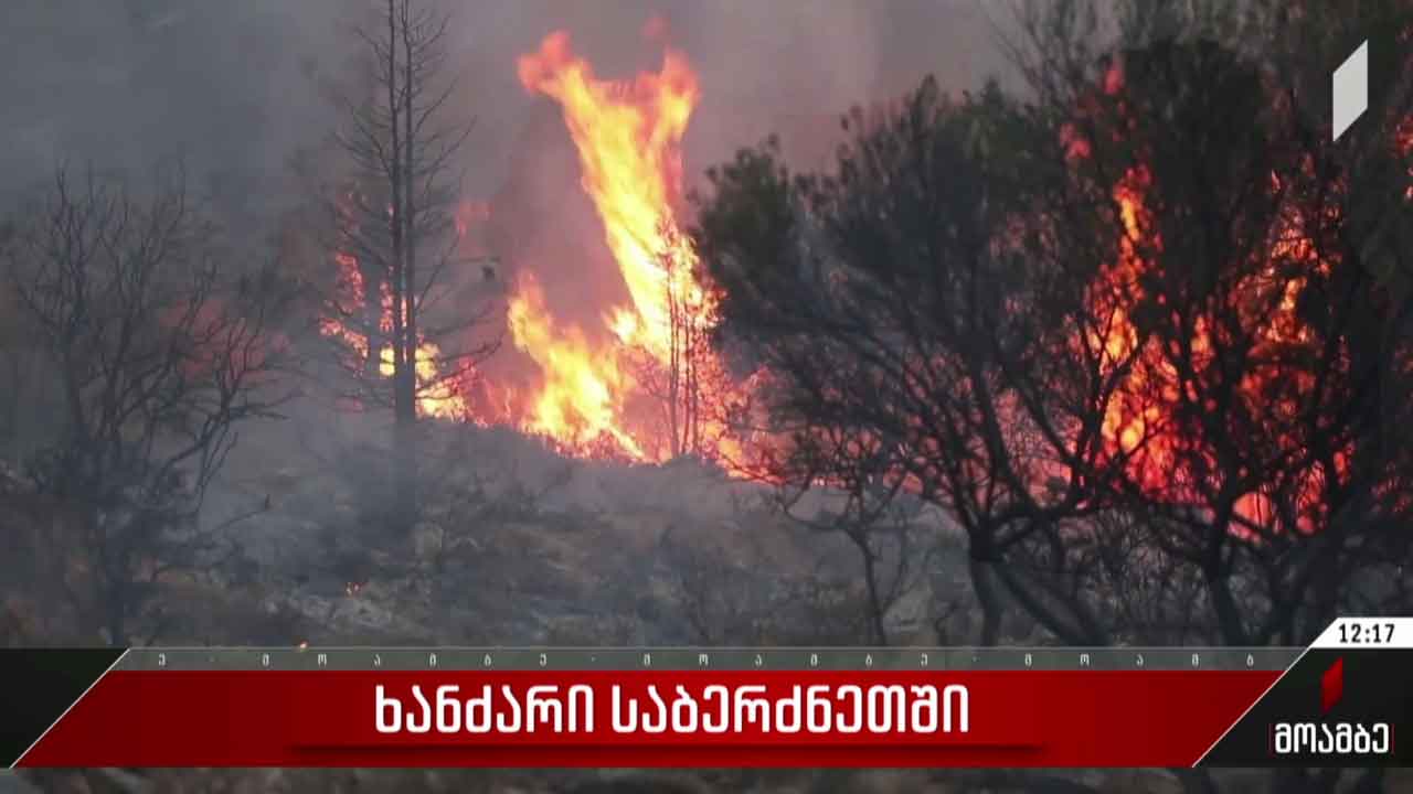 საბერძნეთში ტყის ხანძარს ებრძვიან
