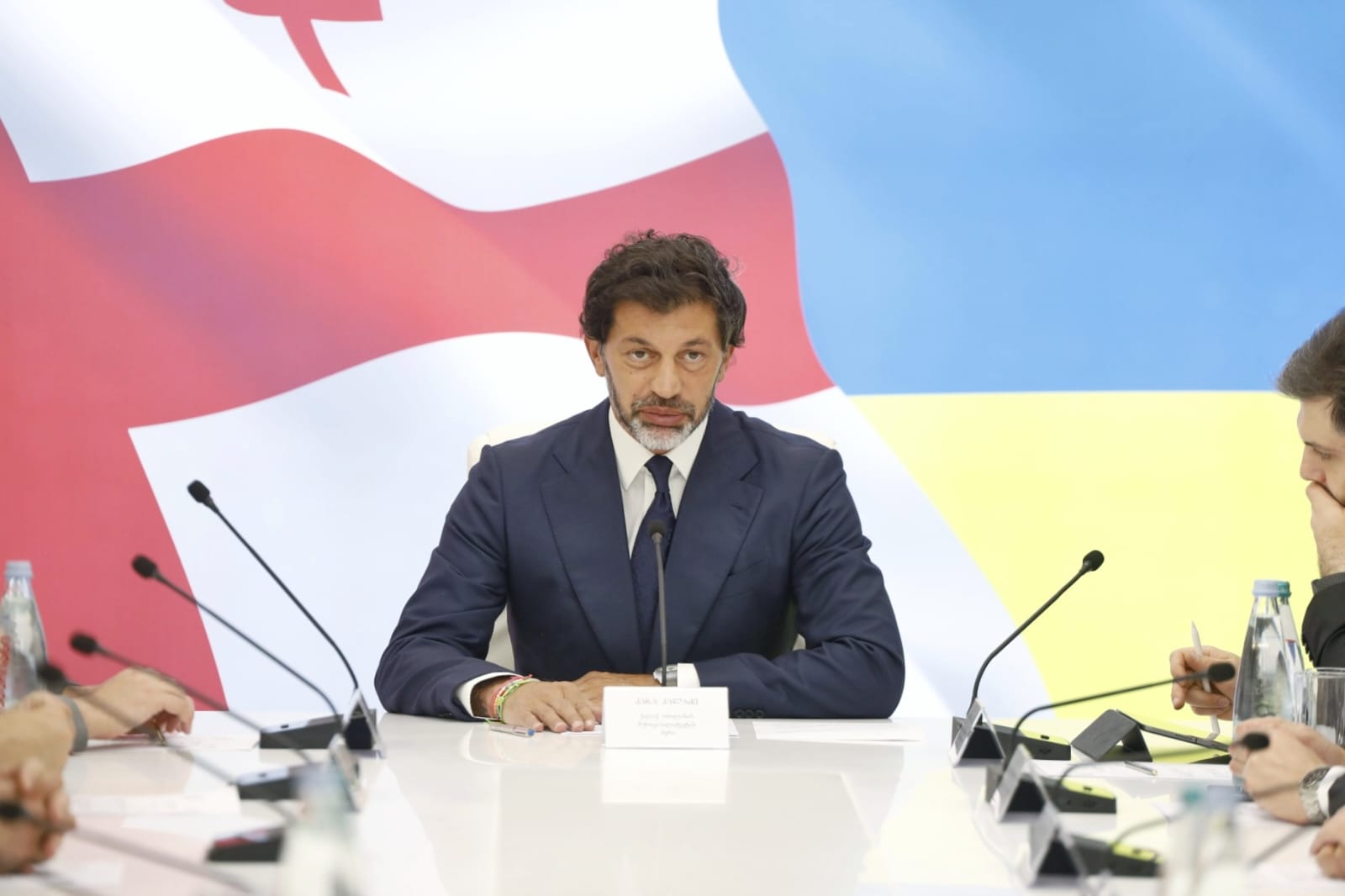 თბილისის მთავრობის სხდომა