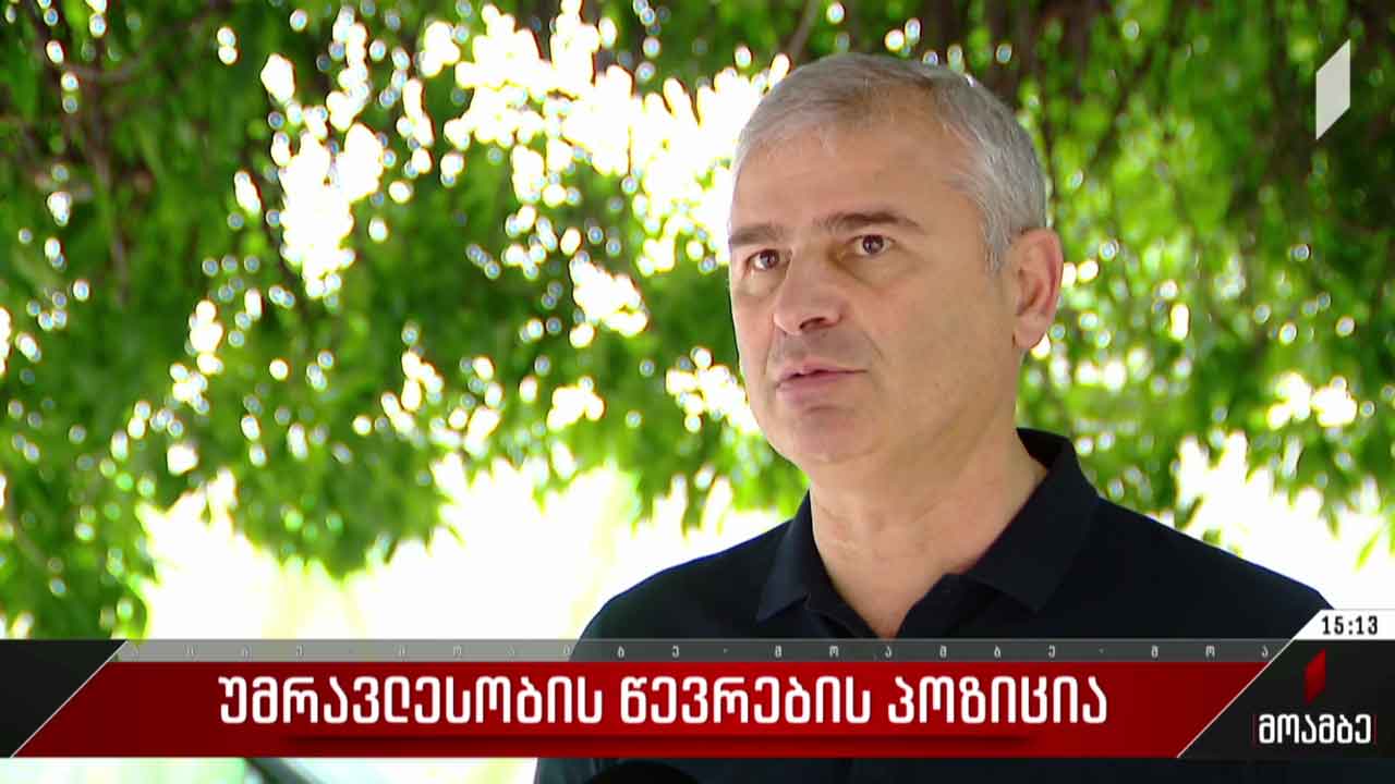 უმრავლესობის წევრების პოზიცია