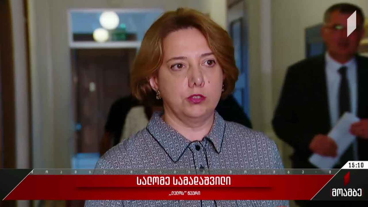 საქართველოს ევროპული პერსპექტივა - მოლოდინები და პროგნოზები