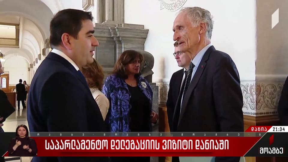 საპარლამენტო დელეგაციის ვიზიტი დანიაში