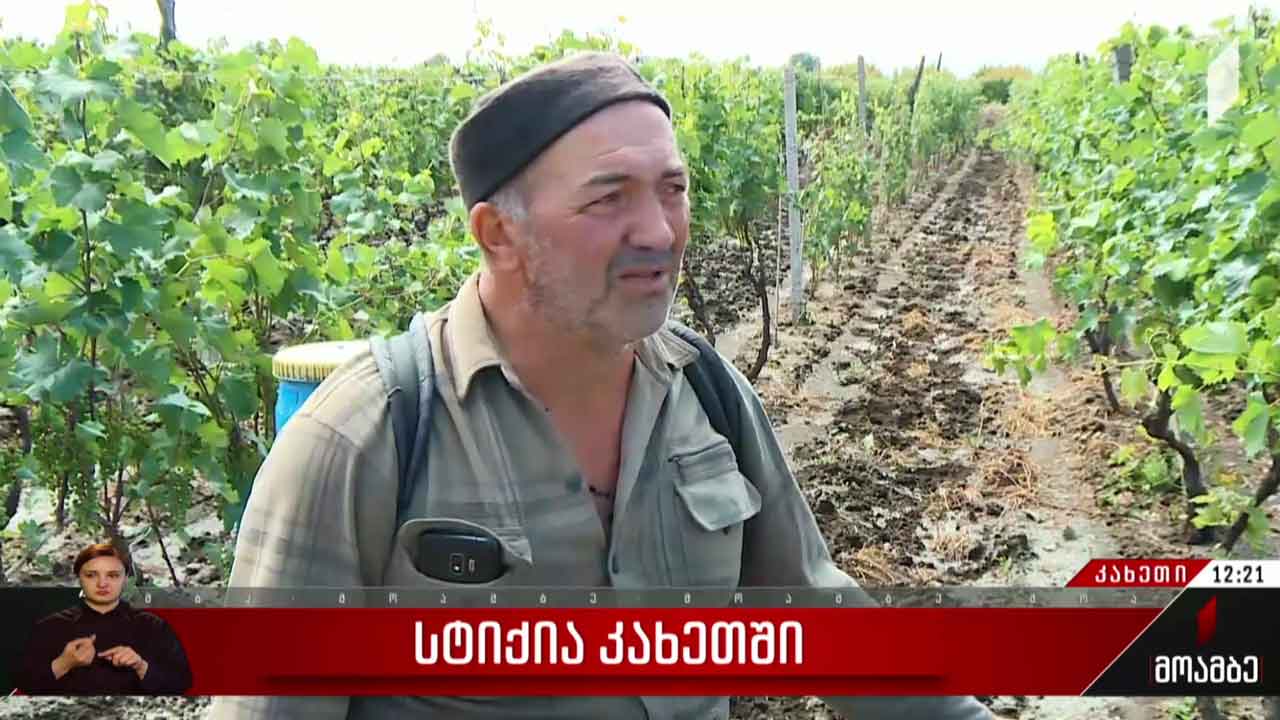 სტიქია კახეთში