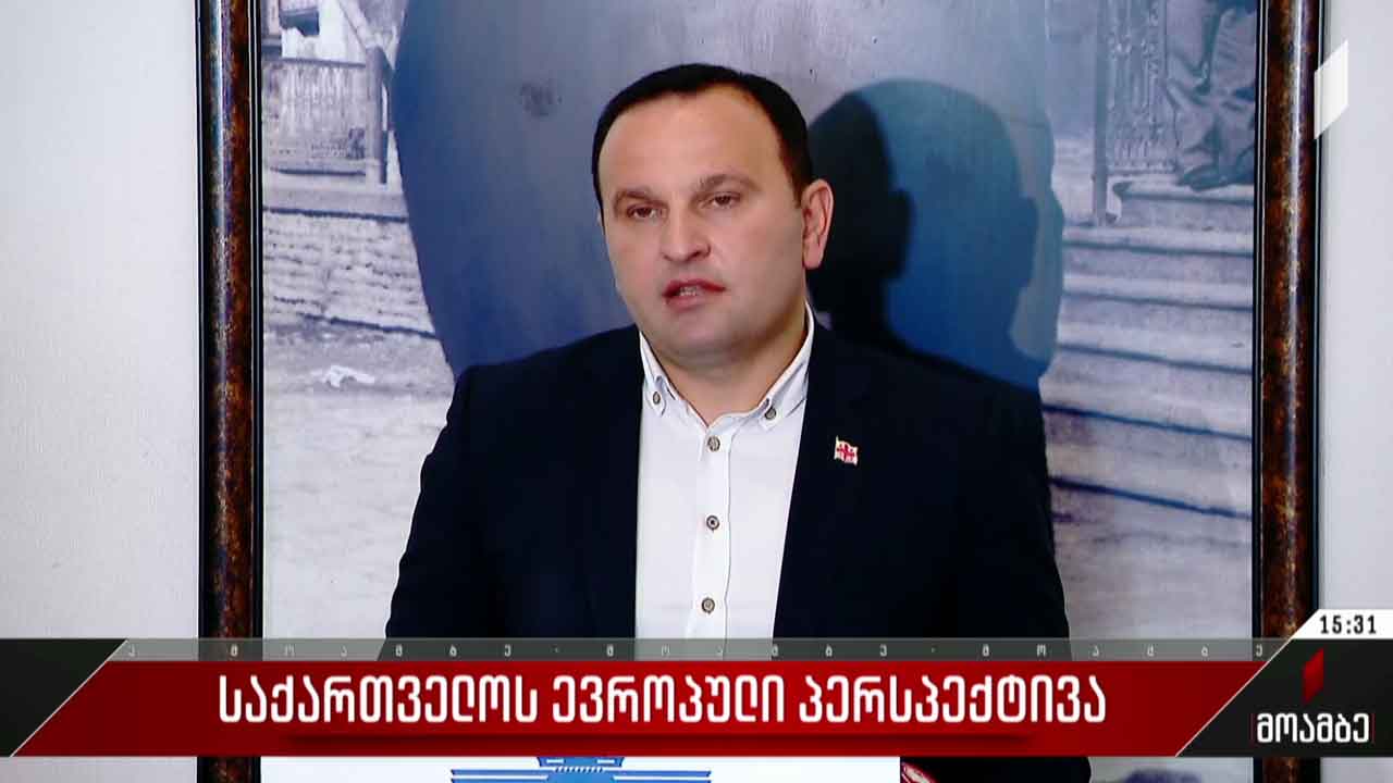 ევროკომისიის რეკომენდაციას პოლიტიკური სპექტრი აფასებს