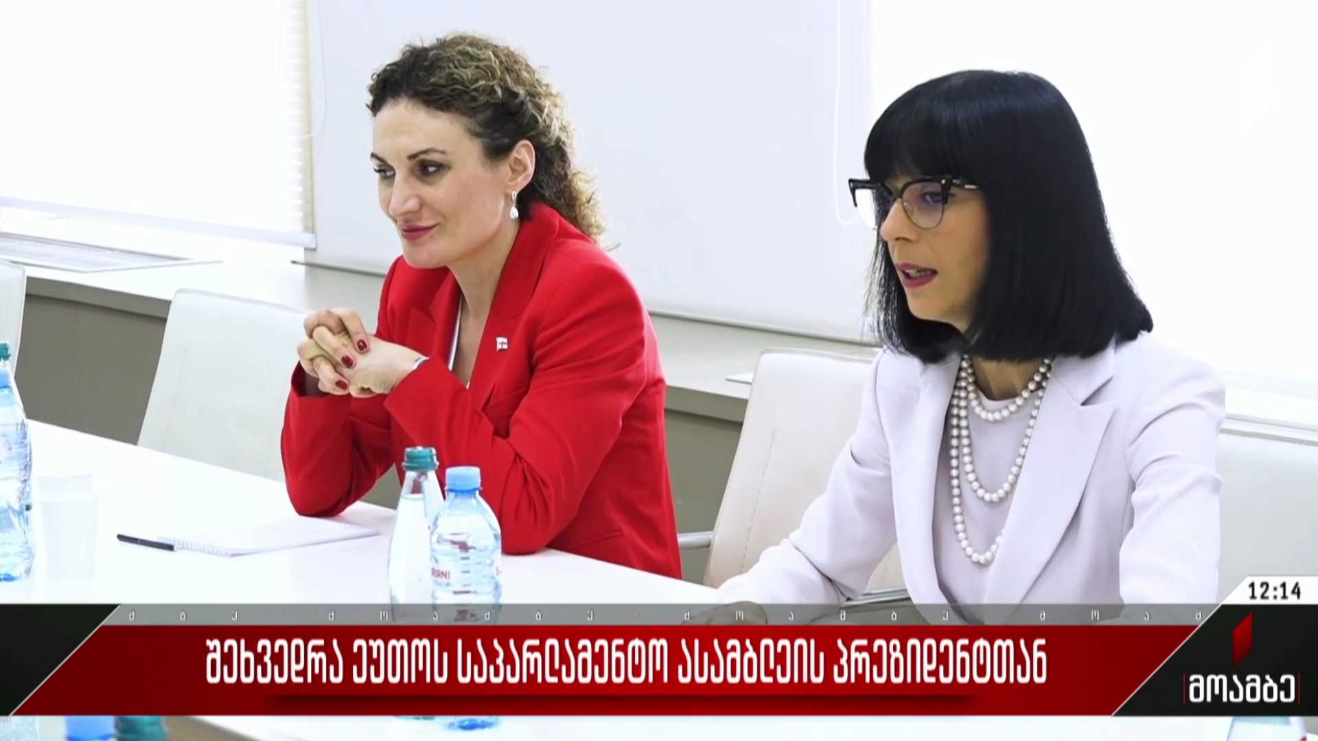 შეხვედრა ეუთო-ს საპარლამენტო ასამბლეის პრეზიდენტთან