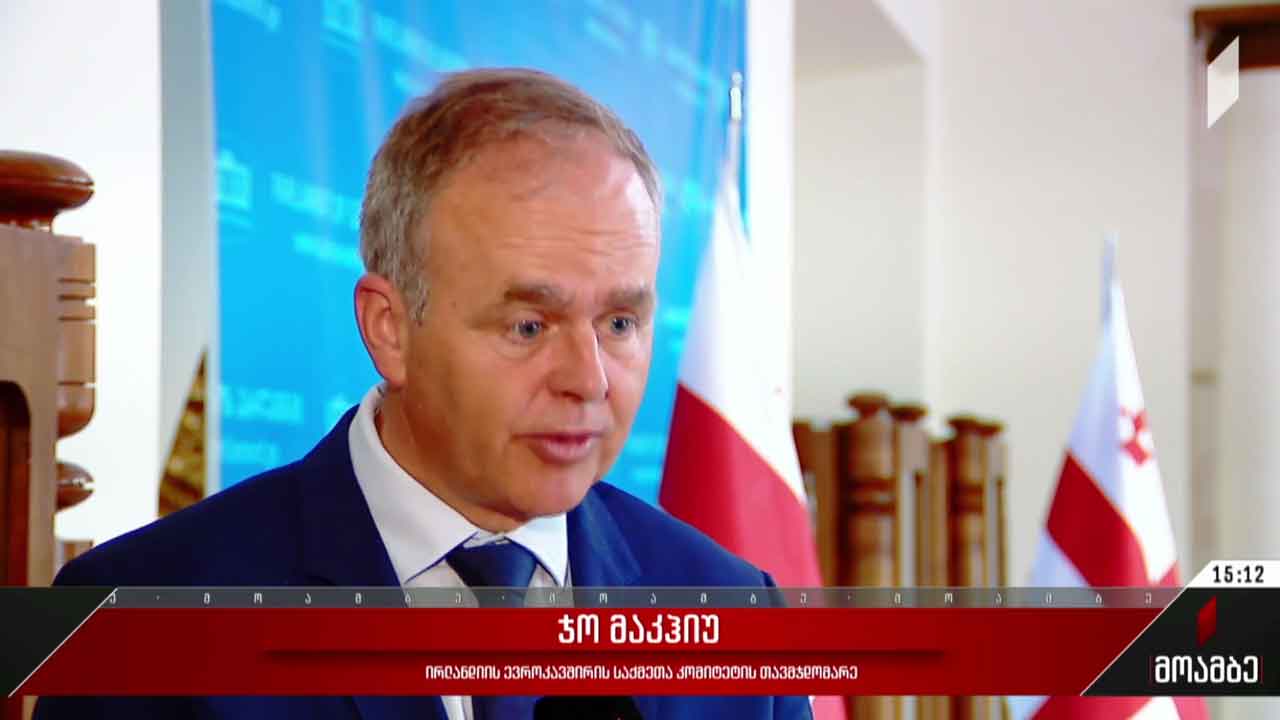 ირლანდიის დელეგაციის ვიზიტი