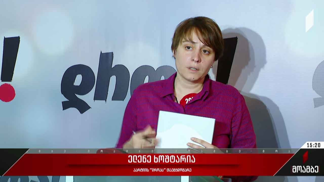 ელენე ხოშტარიას განცხადება