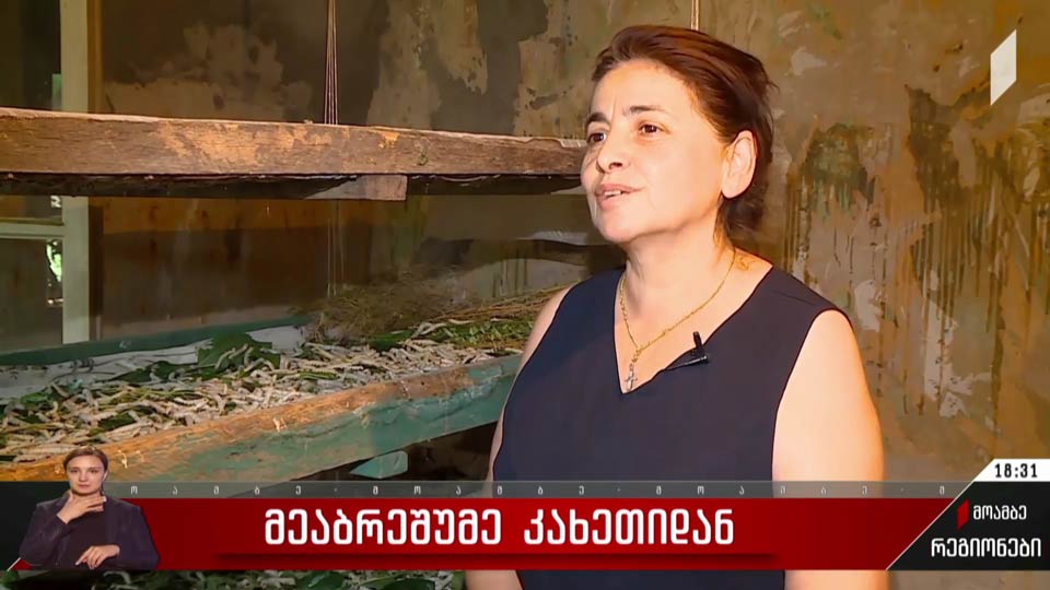 მეაბრეშუმე კახეთიდან