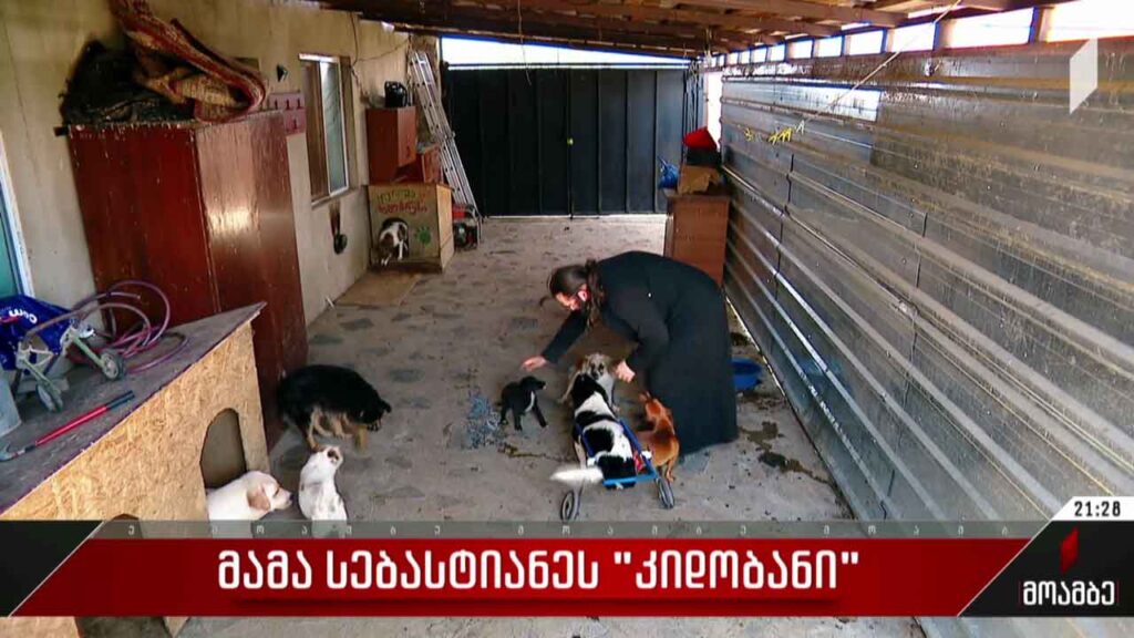 მამა სებასტიანეს „კიდობანი“