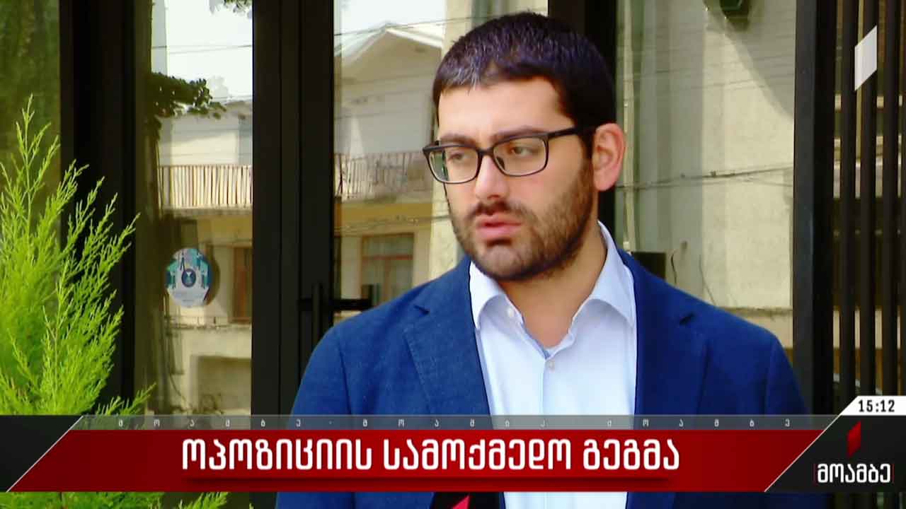 ოპოზიციის სამოქმედო გეგმა