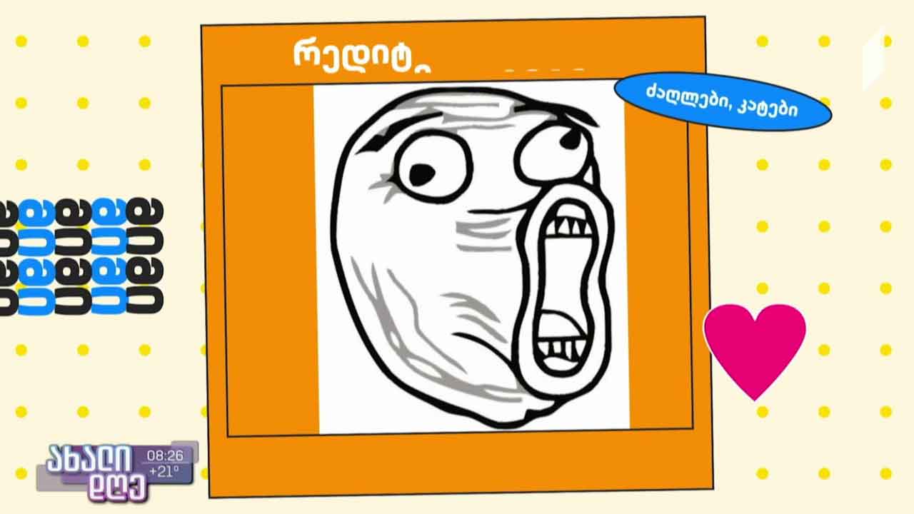 #1TVPLAY რა არის „მიმები“ და როგორ იყენებენ მათ პროპაგანდისთვის