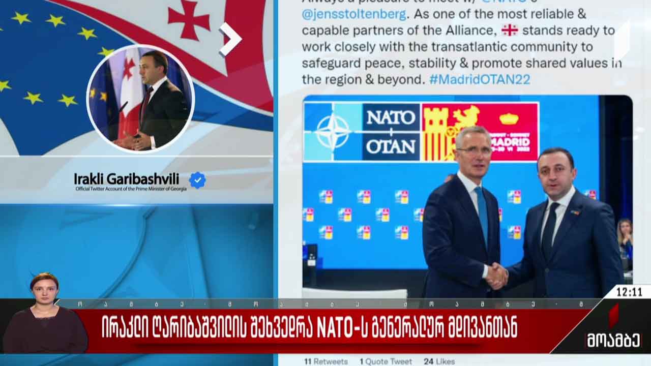 პრემიერის შეხვედრა ნატო-ს გენერალურ მდივანთან
