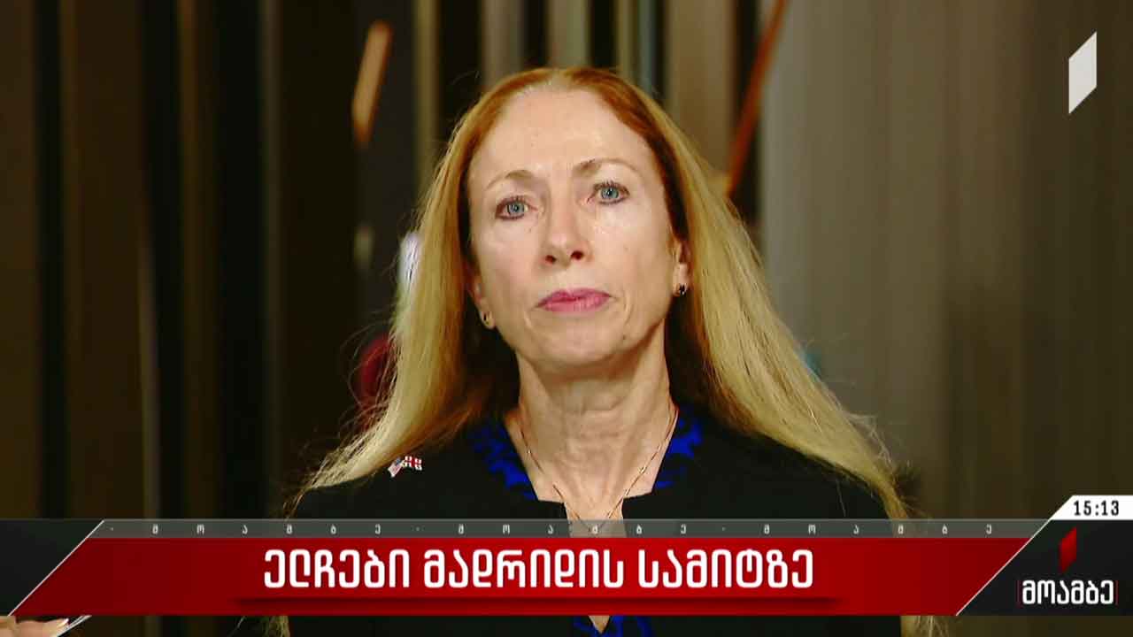 ნატო-ს მადრიდის სამიტი - ელჩების შეფასება