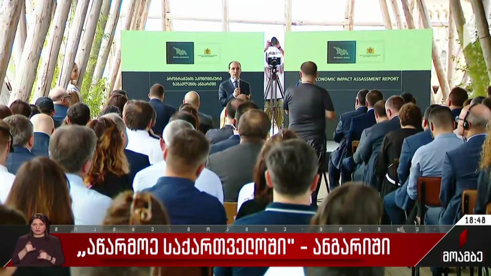 „აწარმოე საქართველოში“ - ანგარიში
